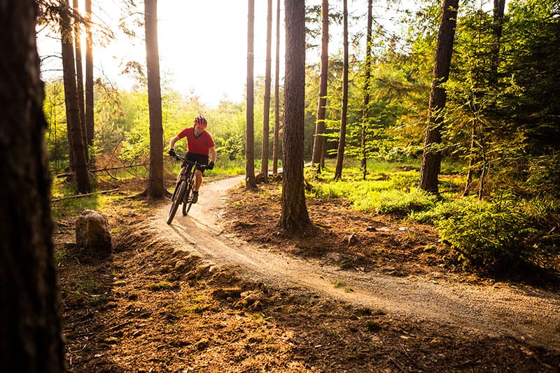 Expertise Recreatie - Ruimterijk